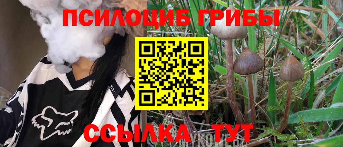 Галлюциногенные грибы Magic Shrooms Нефтекумск