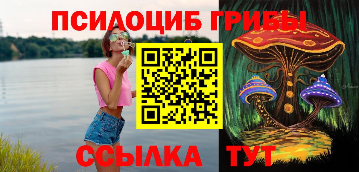 Галлюциногенные грибы Psilocybe  Вход с VPN  Нефтекумск 